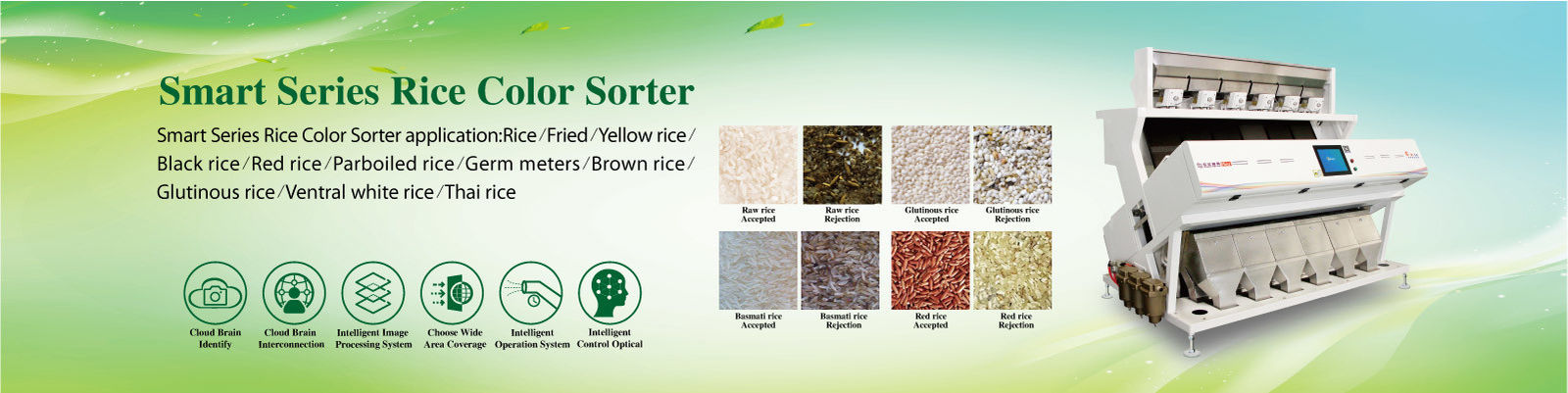 classificador de cores de arroz